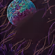 5000 Moons V1 - old