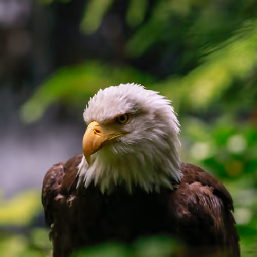 Natural Geographic | By The 559er