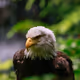 Natural Geographic | By The 559er