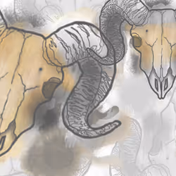 Item Media Placeholder