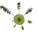 64px Trees