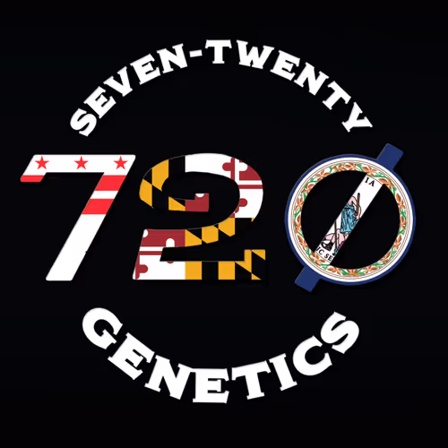 720's Elite Clone Collection