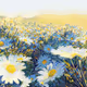 7R Eternal Bloom