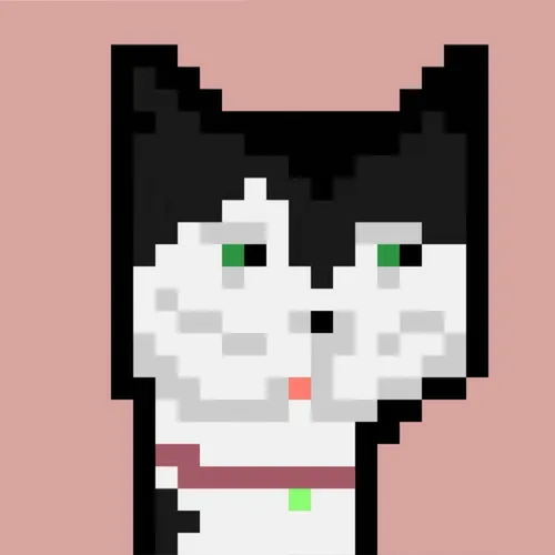 8bitCats