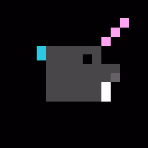 8BITPIG