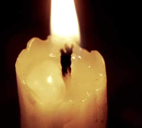 NoWar: 9 stories from millions