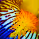 inspiration from Nature #92869485