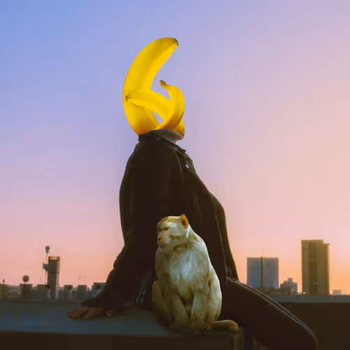 a Collection by Ali Madad