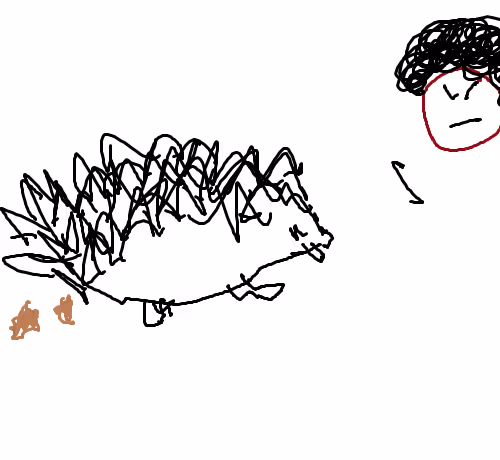 A Day In The Life Of A Hedgie Owner