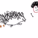 A Day In The Life Of A Hedgie Owner
