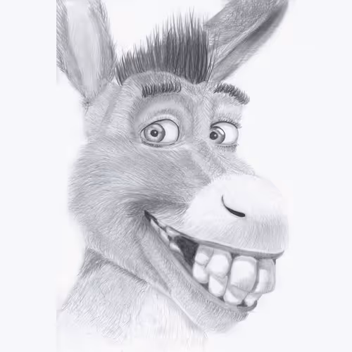 A Donkey