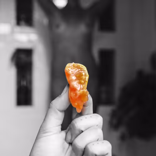 A Dream Like State of Mind