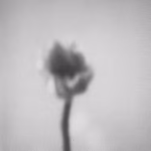 A flower study - old