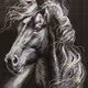 A Horses Tale - old