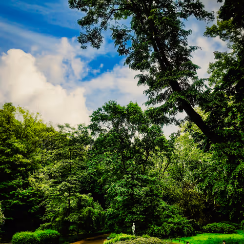 A jungle in the city - old