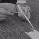 A Line Made by Kneeling