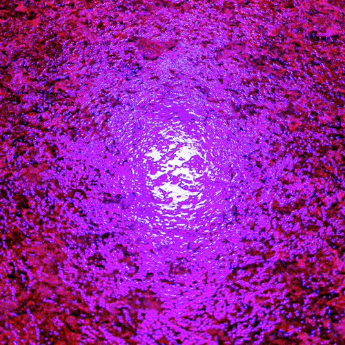 A Macro View of Our Universe