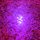 A Macro View of Our Universe