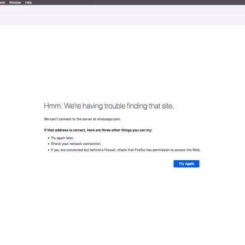 A Moment Captured In Time