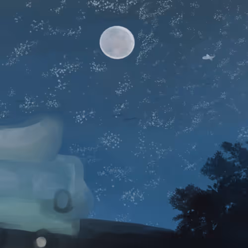 A Night Beneath the Wandering Moon