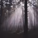 A stressful, surreal fog