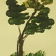 a tree drawn by an elephant