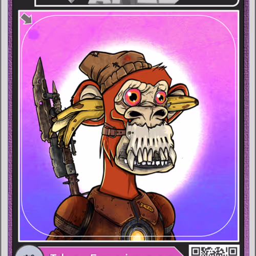 AAPE companion card