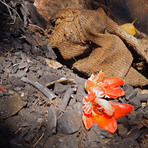 Abandoned memories - old