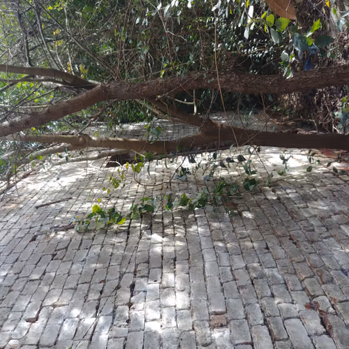 abandoned country house