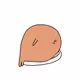 a bo