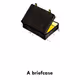 A Briefcase Official