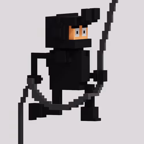 Abseiling Voxel Citizen