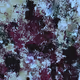 abstract  art by JP Montes