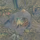Abstract Frog Painting made in AI - old