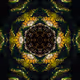 Abstract kaleidoscopes - old