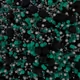 PARTICLES IN ACTION
