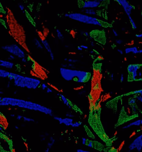 Deep Art Motion Abstract Art NFTs
