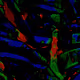 Deep Art Motion Abstract Art NFTs