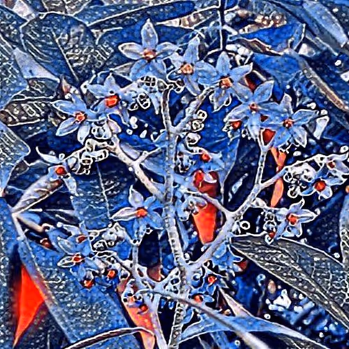 Abstract Nature Project (ANP)