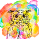 Abstract Owls