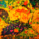 Abstract paintings by Chinwe Chigbu - old