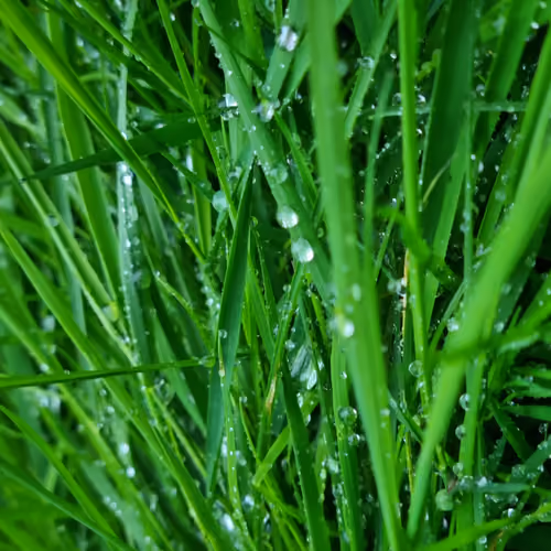 Abstracts and Nature
