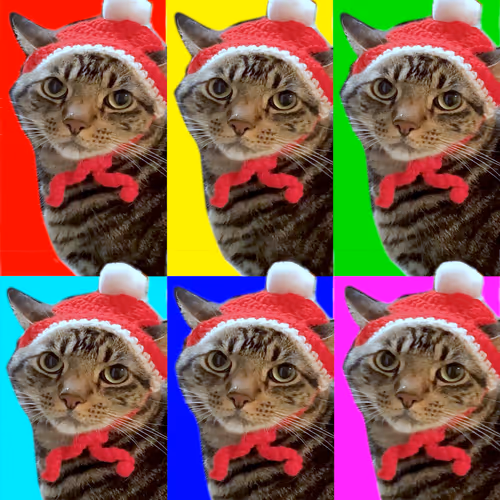 A Cat Named Kitty - old V2