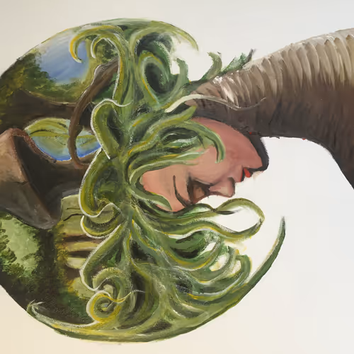 Aceovrkill Fine Art Collection