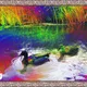 Acid Ducks - old