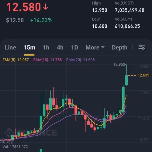 ACM/USDT