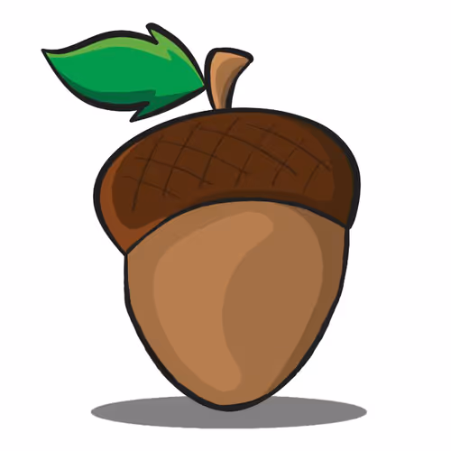 Acorn's World