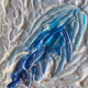 Acrylic Fire- Series 1