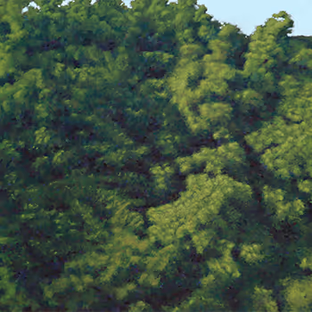 Acrylic Paintings by Jaewook Lee - old