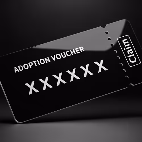 Adoption Vouchers